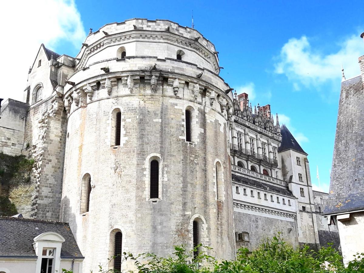 En Plein Coeur : Charmant Gite Centre Amboise Exteriör bild
