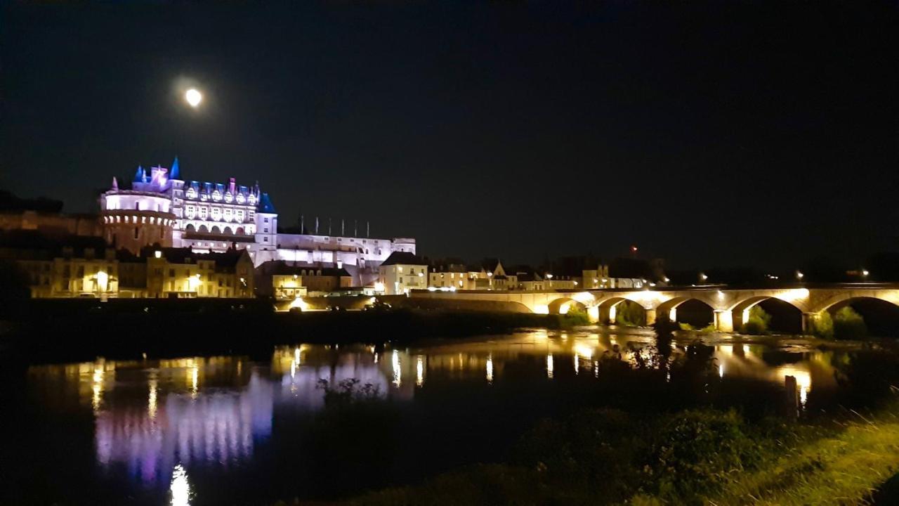 En Plein Coeur : Charmant Gite Centre Amboise Exteriör bild